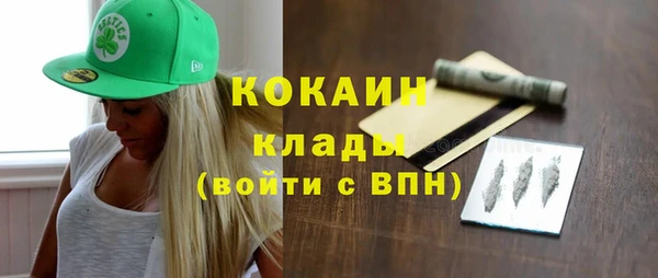 мдпв Козельск