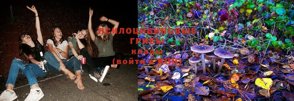 молекула духа Пересвет