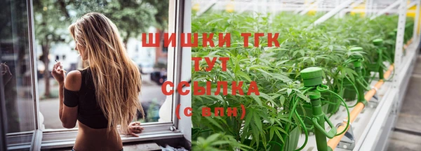 ECSTASY Пестово