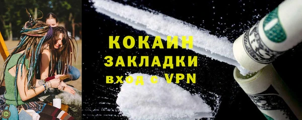 молекула духа Пересвет
