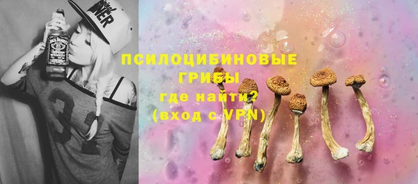 молекула духа Пересвет