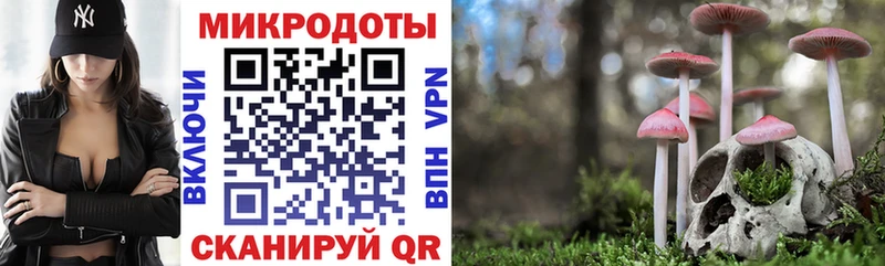 как найти Чита Галлюциногенные грибы GOLDEN TEACHER