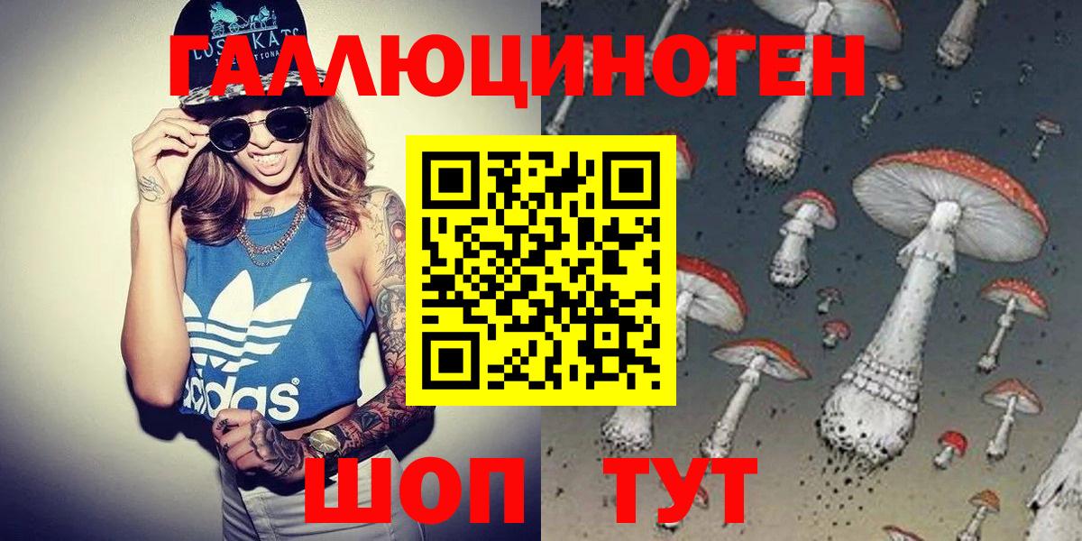 Псилоцибиновые грибы Cubensis  Чита 