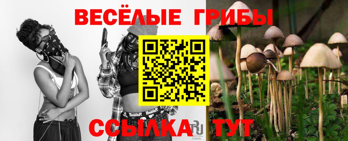 Галлюциногенные грибы GOLDEN TEACHER Чита